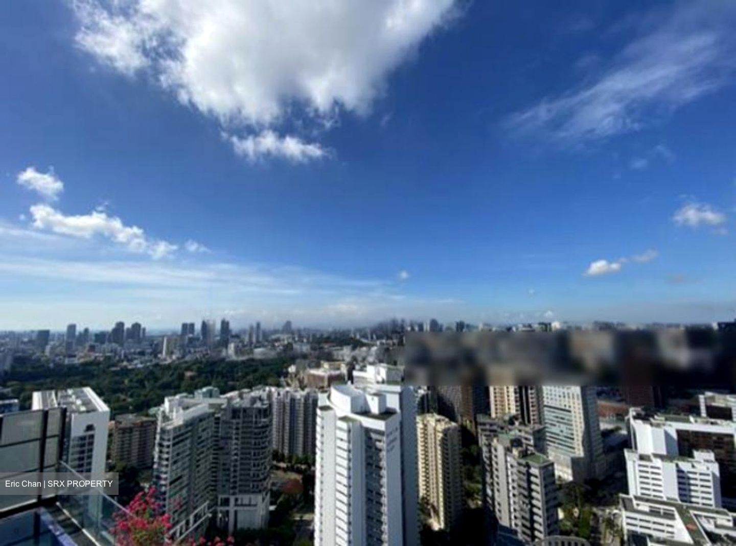 The Ritz-Carlton  (D9), Condominium #455333381